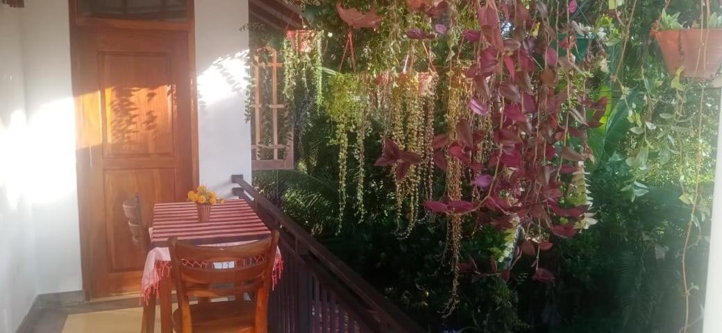 Jungle View One Bedroom Private Apartment Unawatuna Eksteriør bilde